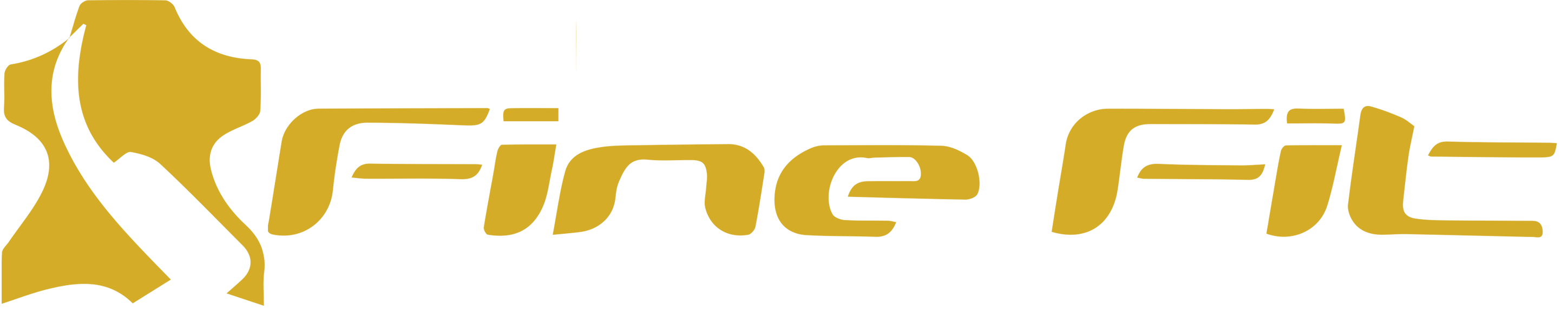 Fine Fit logo